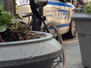 Flower Pots in Front of Empire State Building
